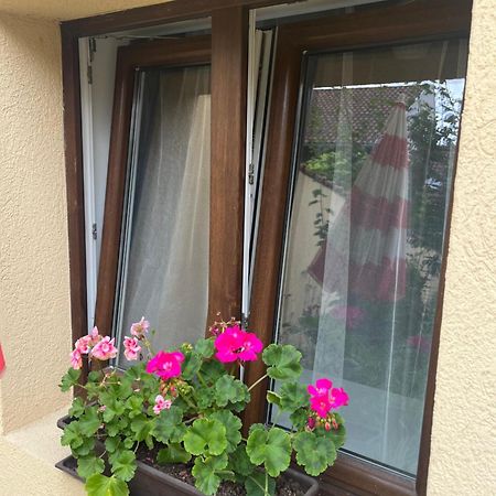 Kerti Franciaagyas Apartman Vác Exterior photo